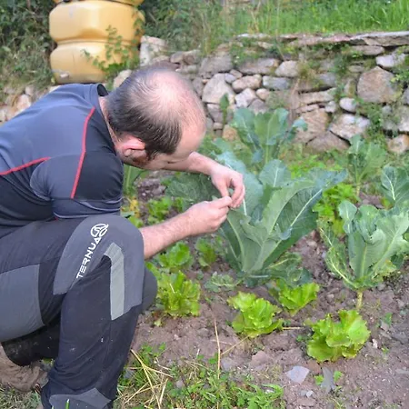 بيت ضيافة La Muntanya كاستيلار دي نو هوج