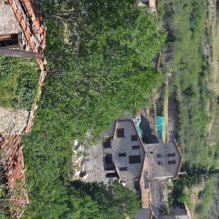 Guest house La Muntanya